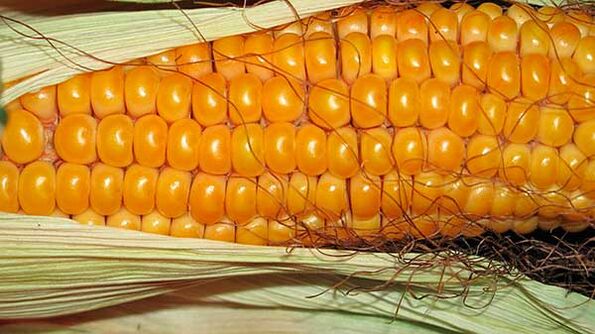 What not to eat on a keto diet